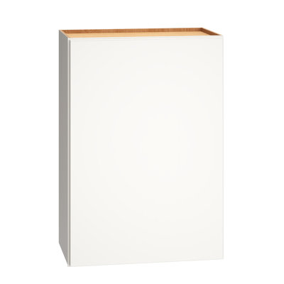Armoire murale à 1 porte avec 2 tablettes réglables Dwelling Rosemont