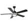 Ehrin 51.96'' Ceiling Fan with LED Lights