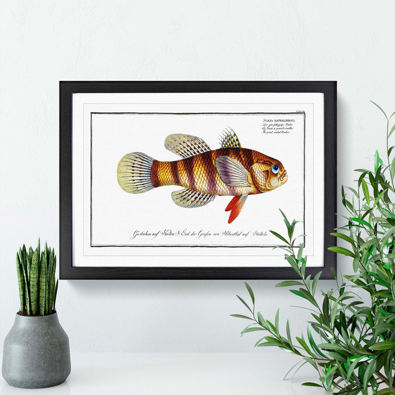 Great-Scaled Umber Fish by M.E. Bloch - Picture Frame Painting Print, Black Framed, 27cm H x 36cm W x 2cm D