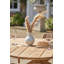 Himmelmann 6 - Person Teak Wood Patio Dining Set with Oval Table