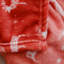 Couverture Reachel
