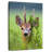 Deer Peeking-1938143222