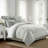Savannah Cotton Coverlet Set 8 Piece-102187496-102187490