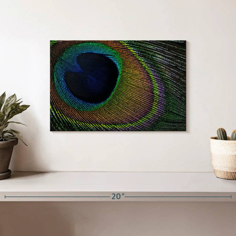 Brampt Peacock Plummage, 8" H x 12" W