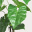 30 po Alocasia artificiel avec pot blanc (ensemble de 2)