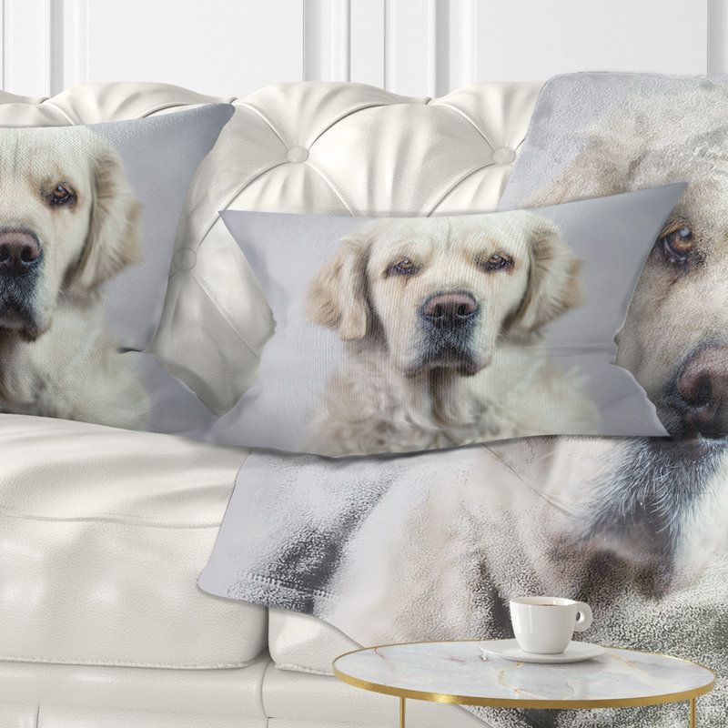 Coussin Sad