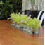 Centre de table orchidée Driftwood Cymbidium-898860794-898860795