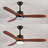 Aarshiya 52'' Ceiling Fan with LED Lights
