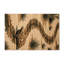 Tapis d'intérieur et d'extérieur brun Nature-696192684