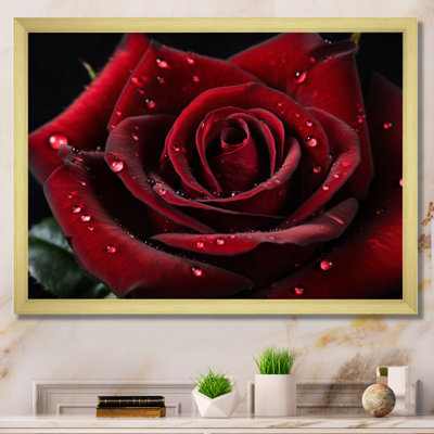 Rose rouge avec gouttes de pluie V sur toile