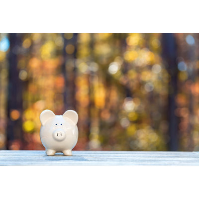 Piggy Bank On A Fall Forest Background by Melpomenem - Wrapped Canvas Print