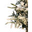 Lighted Artificial Christmas Tree-362436138