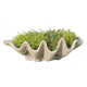 Handmade Pot Planter