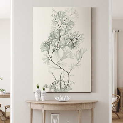 « Sauge Green algue VI », reproduction d’art sur toile tendue