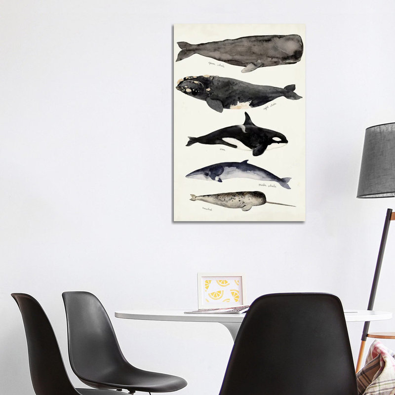 Whale Chart I by Victoria Barnes - Wrapped Canvas Painting, 101.6 cm H x 66.04 cm W x 1.91 cm D