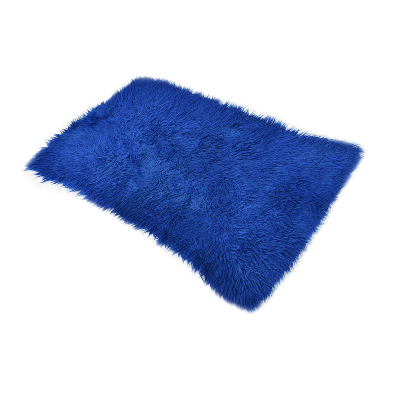 2x3 Phillippi Blue Rug