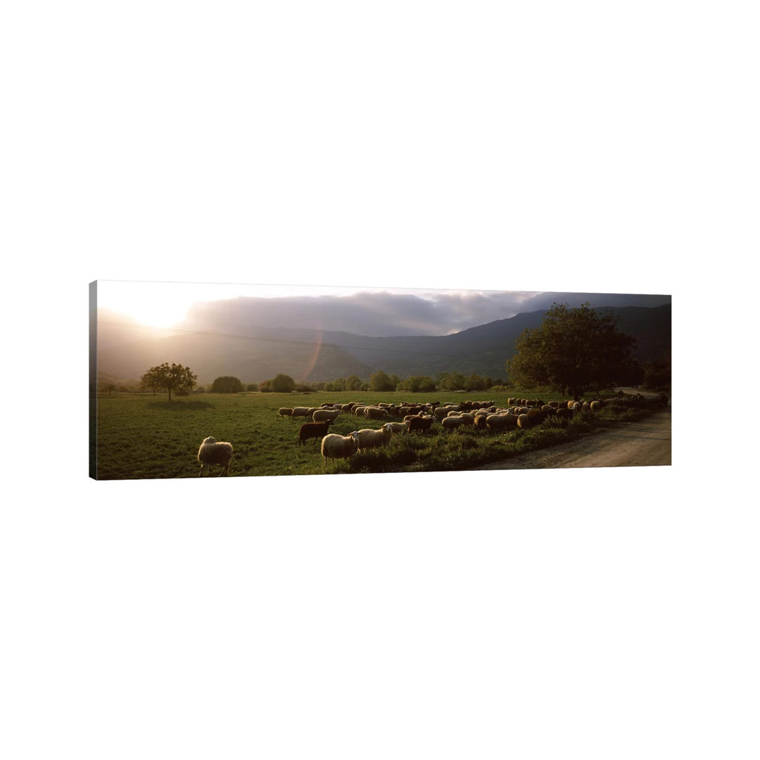 Flock Of Sheep Grazing In A Field - Wrapped Canvas Panoramic Print