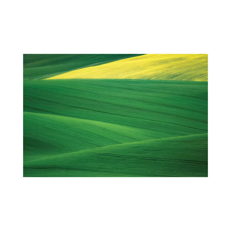 Europe, Czech Republic. Moravia Wheat And Canola Fields. by Jaynes Gallery - Wrapped Canvas Gallery-Wrapped Canvas Giclée