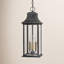 Adair Large 3-Light Outdoor Hanging Lantern