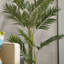 Palmier artificiel en pot-1182927035