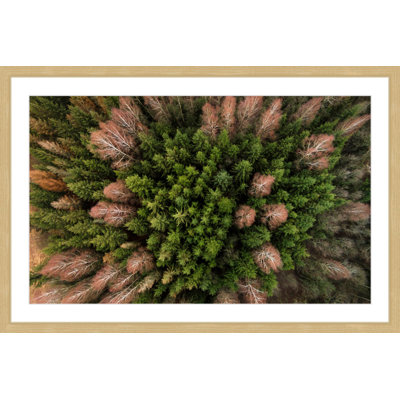 Karolis Janulis - Single Picture Frame Print