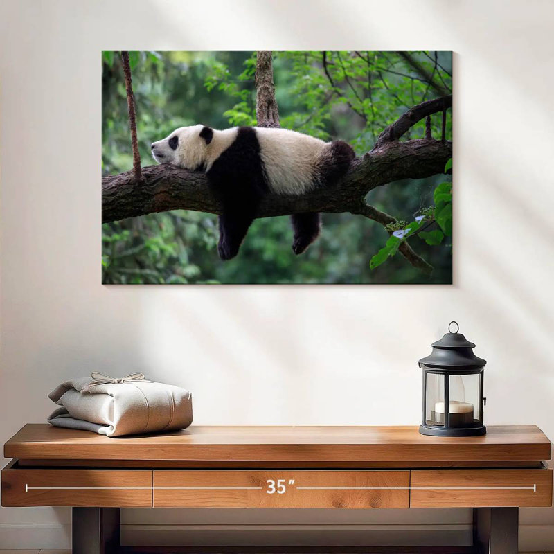 Panda Brampt dormant sur un arbre, H 16 po x l 24 po