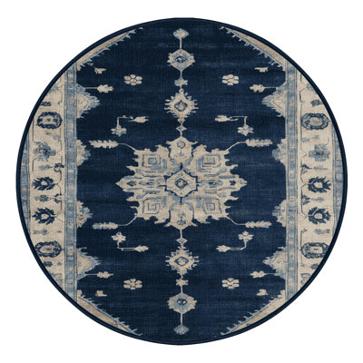 Machine Washable Overdyed Blue Area Rug