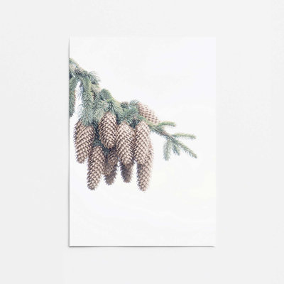 Forest Treasures Print
