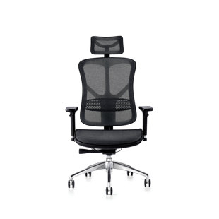 Desk Chair with Headrest