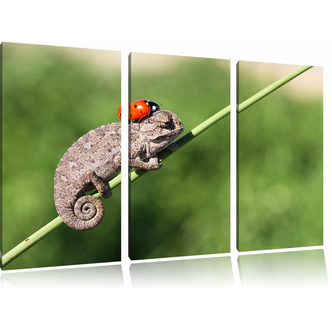 3-tlg. Leinwandbilder-Set Süßer Gecko mit einem Marienkäfer, Fotodruck