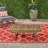 SEDONA COFFEE TABLE