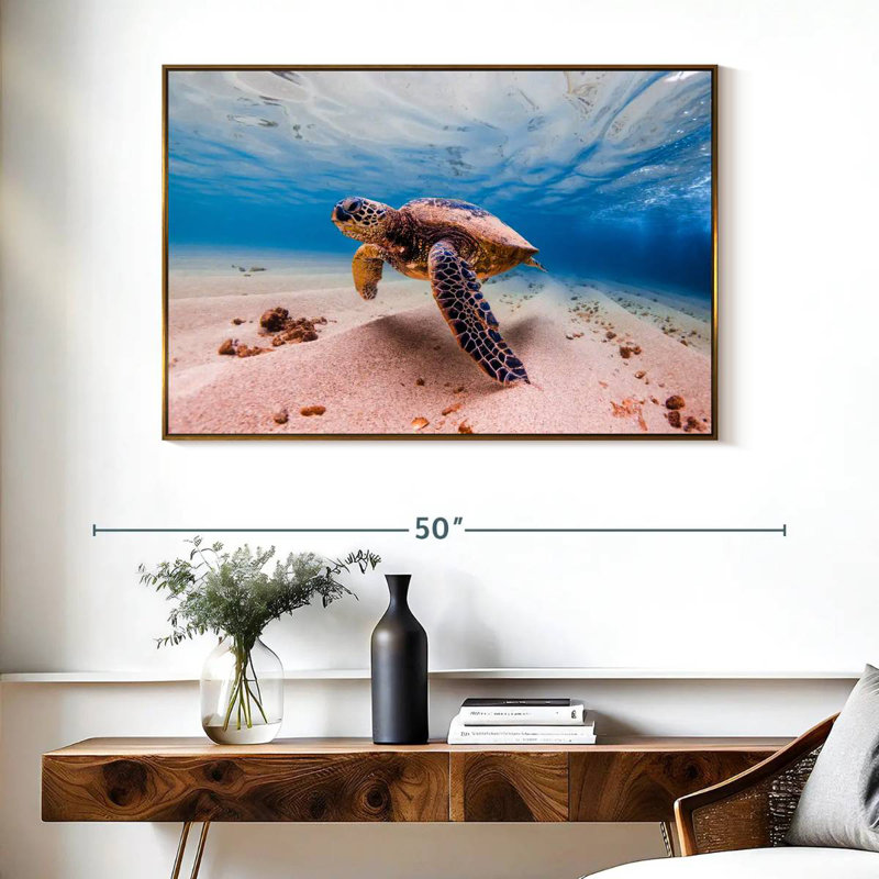 Sandy Turtle, 40" X 27", Floating Frame Gold