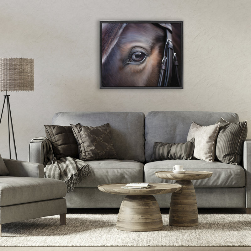 Cadre flottant Equine Gaze, par Seven Trees Design, Cadre flottant noir de jais, H 17 po x l 21 po