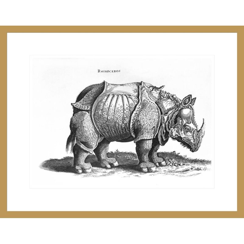 «Rhinoceros no 76» par «historique animal» par Conrad Gesner (1516-65) par Albrecht Dürer, impression giclée encadrée