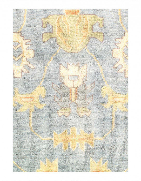 Tapis en laine d'agneau unique 5 pi 8 po x 7 pi 11 po Hinman
