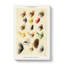 Hackles Fishing by Mary Orvis Marbury - Wrapped Canvas Print-55310231