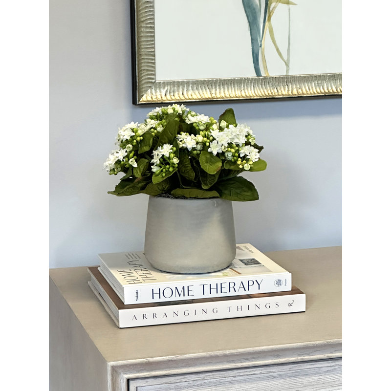 Kalanchoe Arrangement in Fiberstone Pot, White