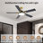 Ferrette 52 Inch Ceiling Fans With Lights And Remote, Reversible Quite Dc Motor, 3cct, Indoor 5 Blade Black Gold Smart Modern Ceiling Fan For Bedroom Living Room