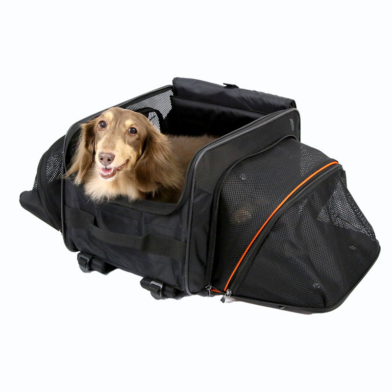 JetPaw Expandable Black and Orange Rolling Pet Carrier