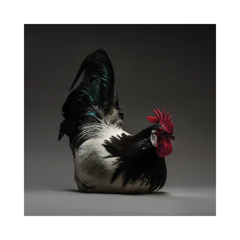 Lakenfeld by CHICken - Wrapped Canvas Print, 45.72 cm H x 45.72 cm W x 1.91 cm D