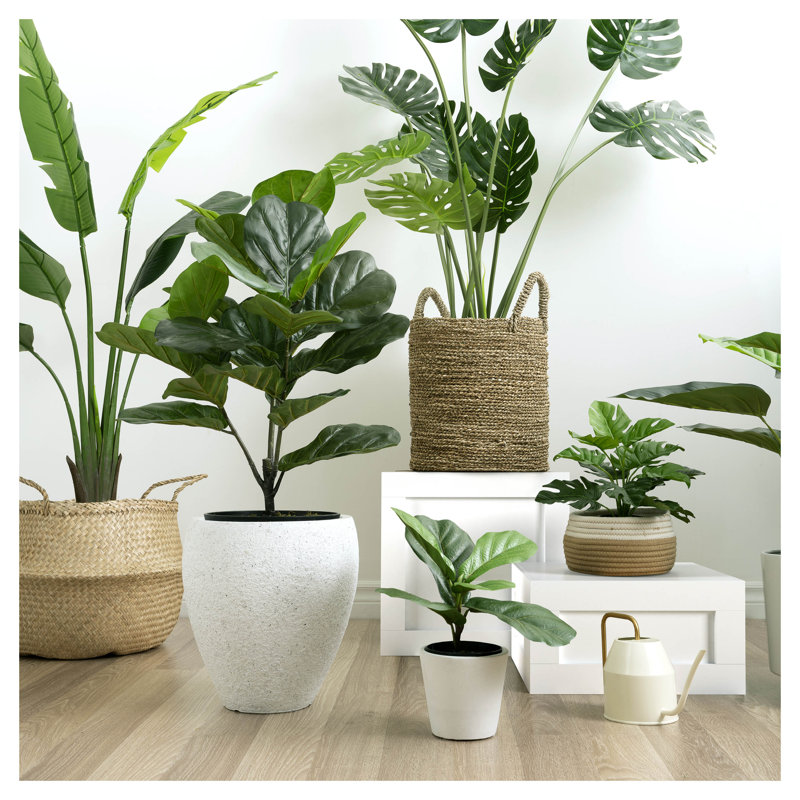 Large Green Plastic Monstera Philodendron Outdoor Floor Plant