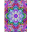 Flor de la Vida 8