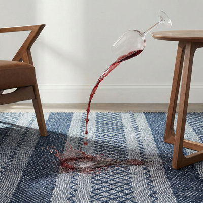 Adryana Machine Washable Area Rug Living Room Bedroom Bathroom Kitchen Pet Friendly Stain Resistant