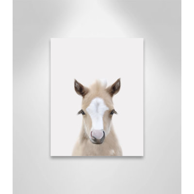 Baby Horse 1, impression sur papier