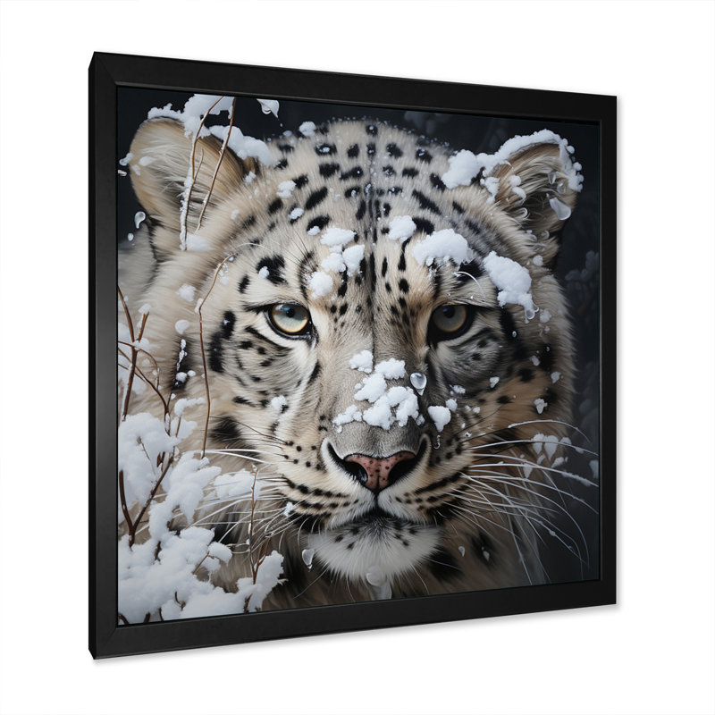Tigre blanc en hiver IV - impression, Cadre photo noir, H 24 po x l 24 po x P 1 po