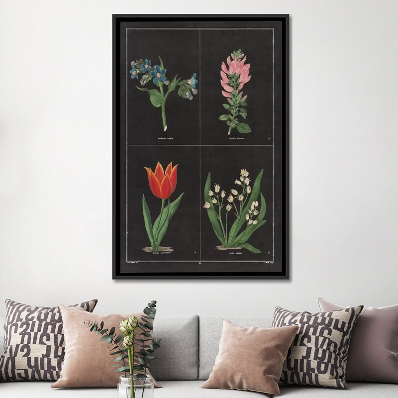 «Botanical Chart III», impression sur toile tendue, H 26 po x l 18 po x P 1,5 po, Toile encadrée noire, Pas de tapis