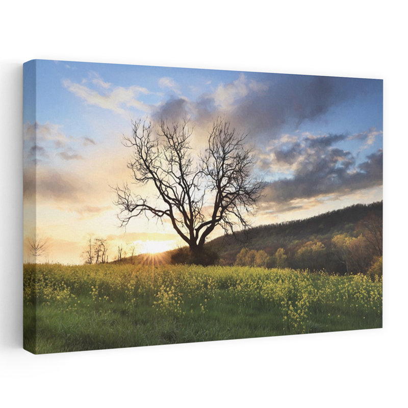 Clark Valley, coucher de soleil, paysage contemporain contemporain, art, H 40 po x l 60 po
