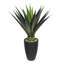 Plante grasse artificielle 44 po en pot