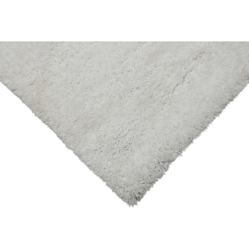 Arriaga Hand Tufted Indoor Rug
