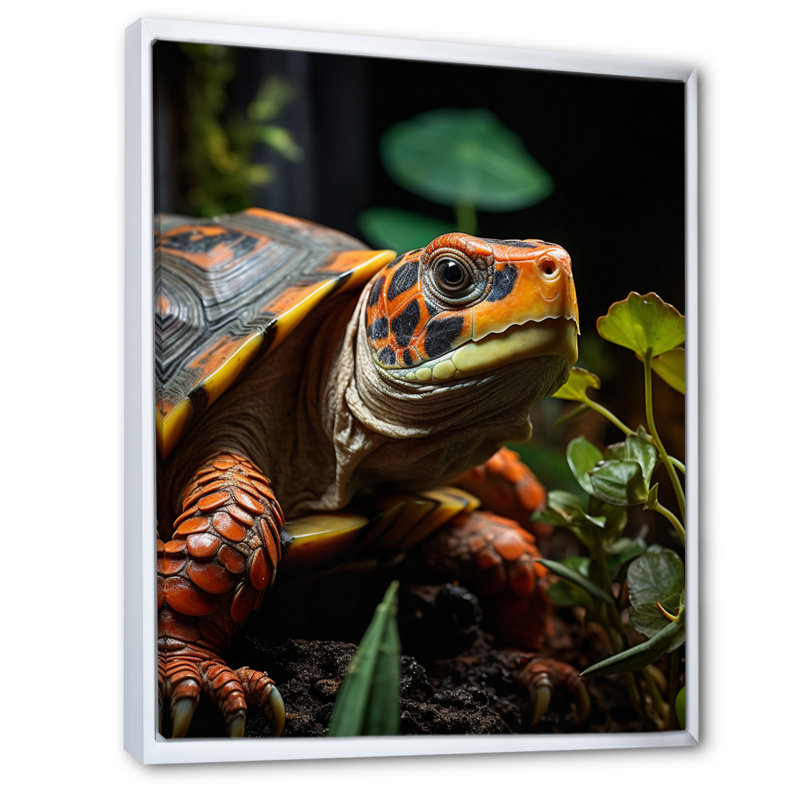 Gros plan sur une tortue vibrante, Cadre flottant blanc, H 44 po x l 34 po x P 1,5 po
